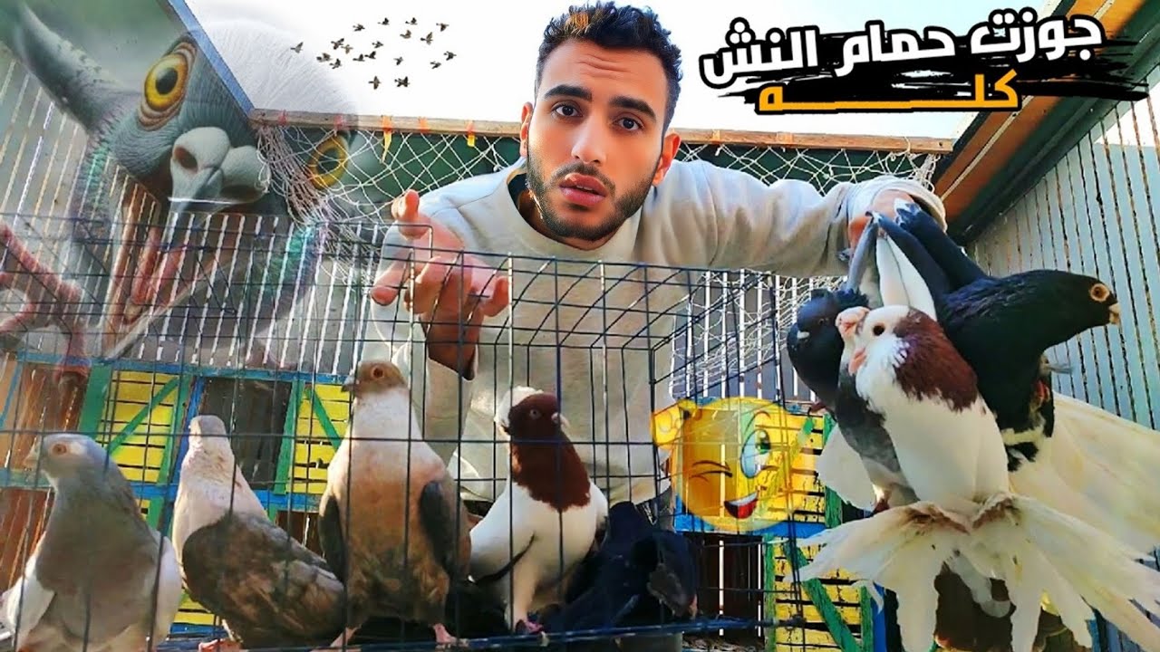 جوزت حمام النش كله 😱 فضيت الغية (في حمام كتير ضاع😔)