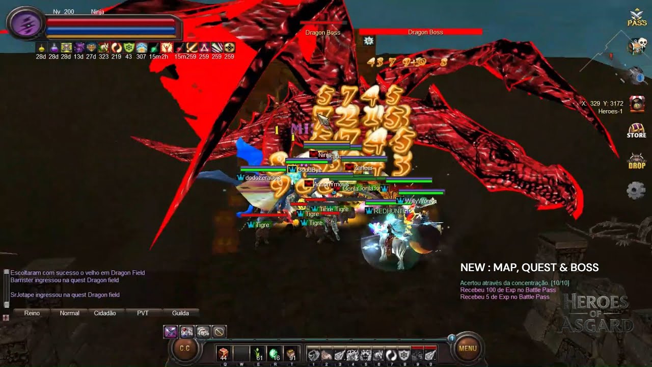 WYD Heroes Of Asgard - DRAGON FIELD - NEW DUNGEON