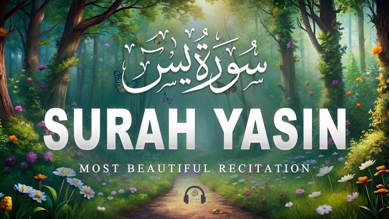 Surah Yaseen سورة يس | Relaxing & Beautiful Recitation for Inner Peace by Alaa Aqel | #lofiquran