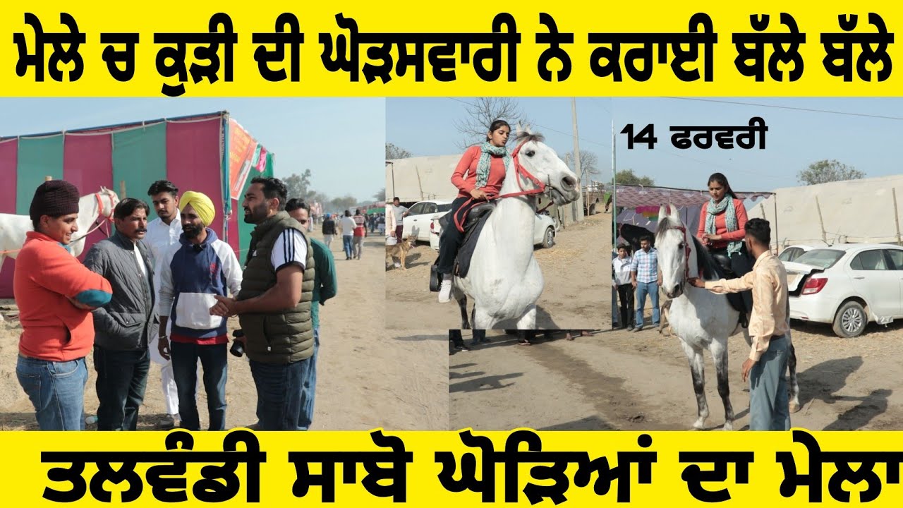 ਮੇਲੇ ਚ ਕੁੜੀ ਦੀ ਘੋੜਸਵਾਰੀ ਨੇ ਕਰਾਈ ਬੱਲੇ ਬੱਲੇ Horse Mela Talwandi Sabo