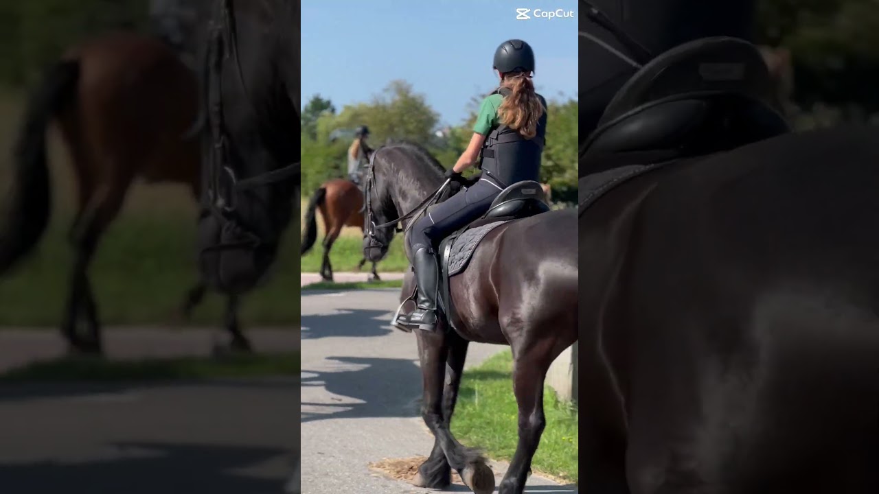 Famke de Vries op buitenrit  #paardenvlog