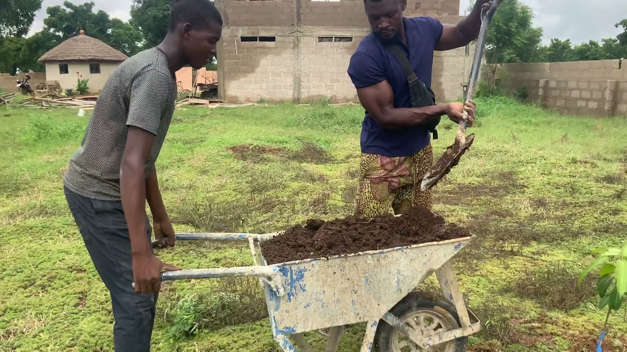 African Power Taking Care of His Trees In The Garden