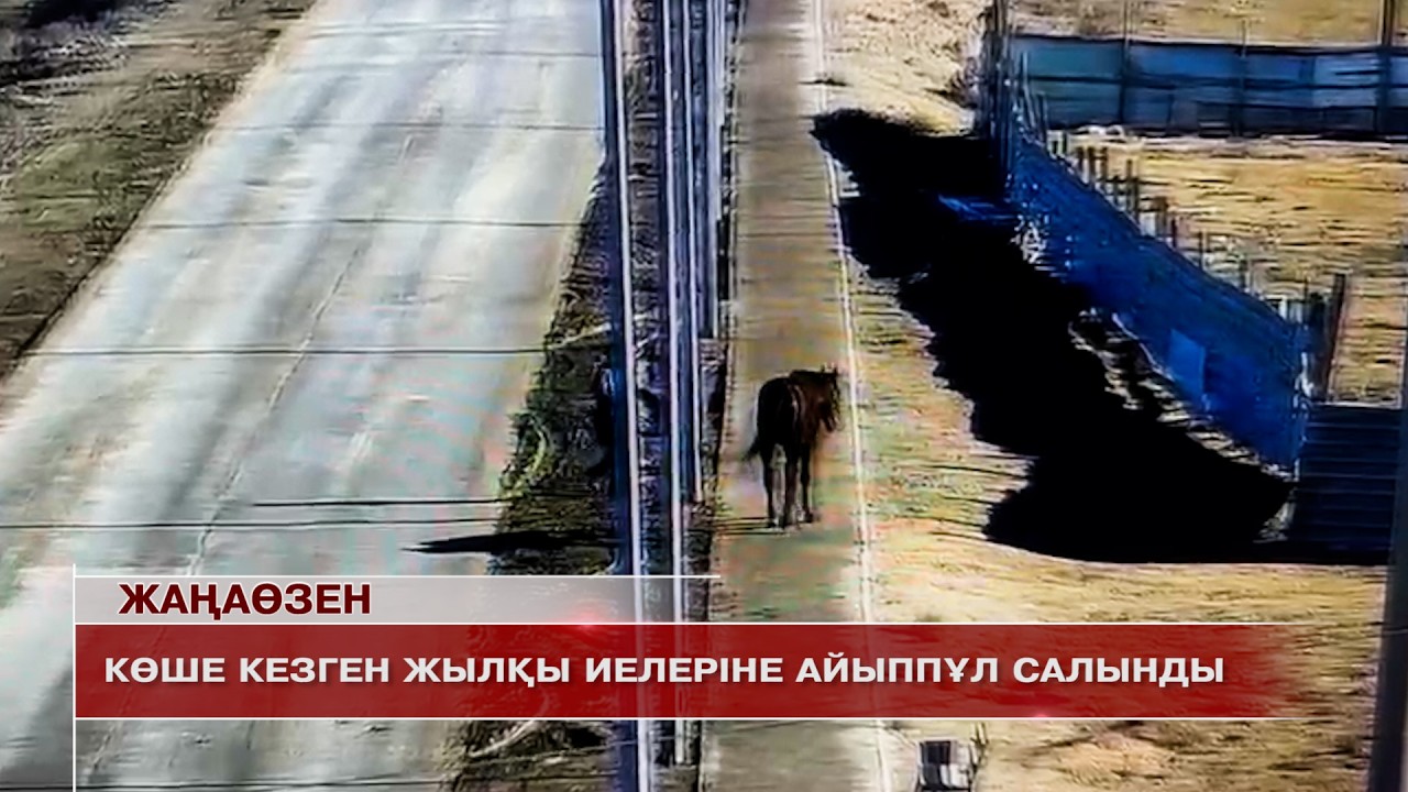 Жаңаөзен жаңалықтары 18.02.2026 ж.