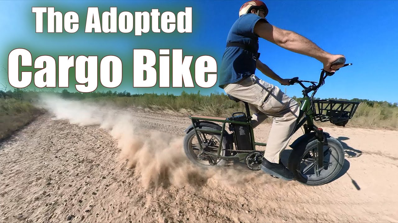 The Fiido T1 A Medium Duty Cargo Bike