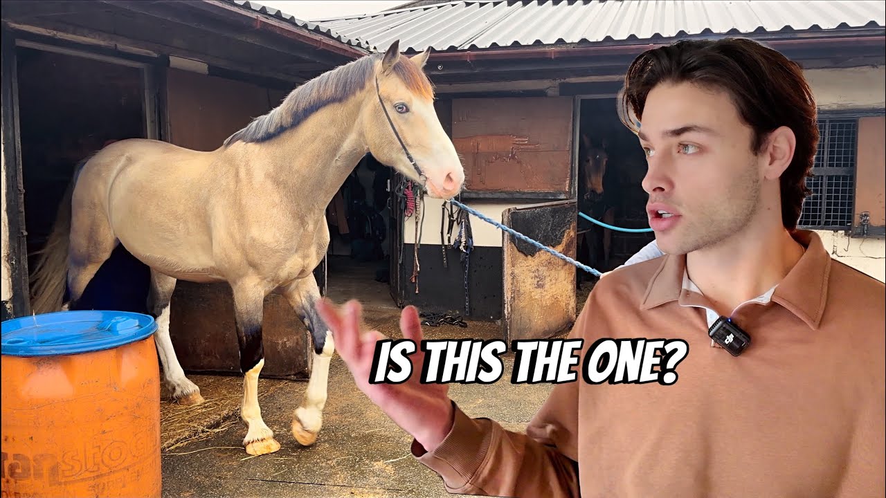 I Traveled to the UK to Shop for a Special Hunting Horse
