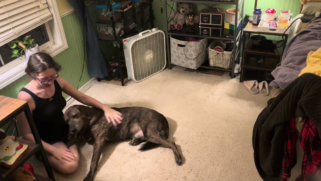 Sheldon Learning Paw!
