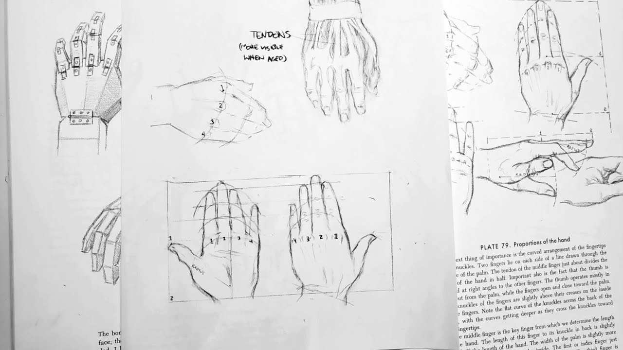 Practicing Drawing Hands Using the Loomis Method - Live