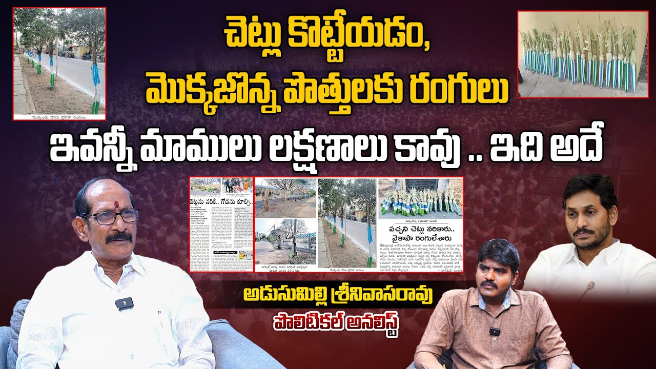 చెట్లు కొట్టేయడం, మొక్కజొన్న పొత్తులకు రంగులు..! | Adusumilli Srinivasarao About CM Jagan Tour