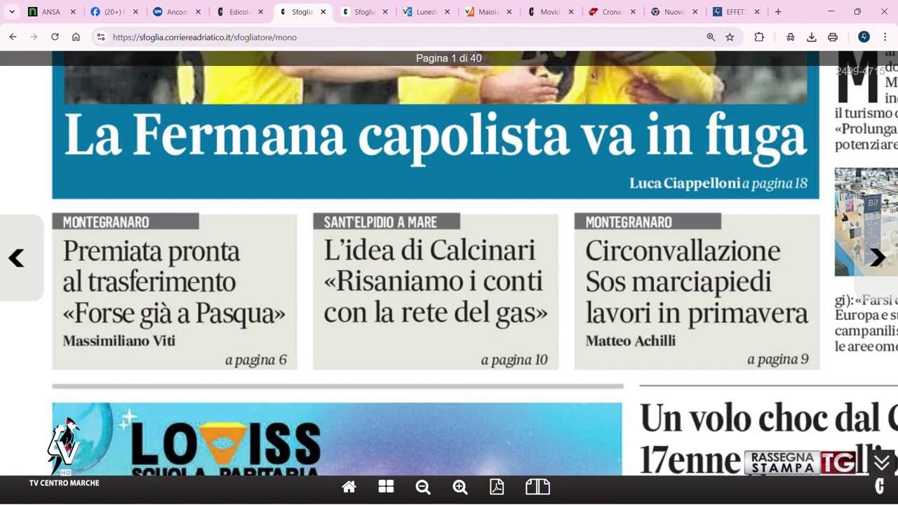 Rassegna stampa