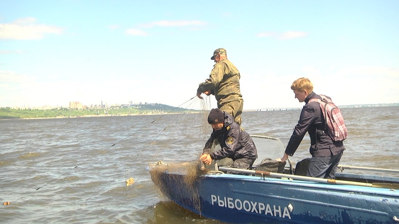 Браконьеры на Волге. Рейд по обмелевшей реке
