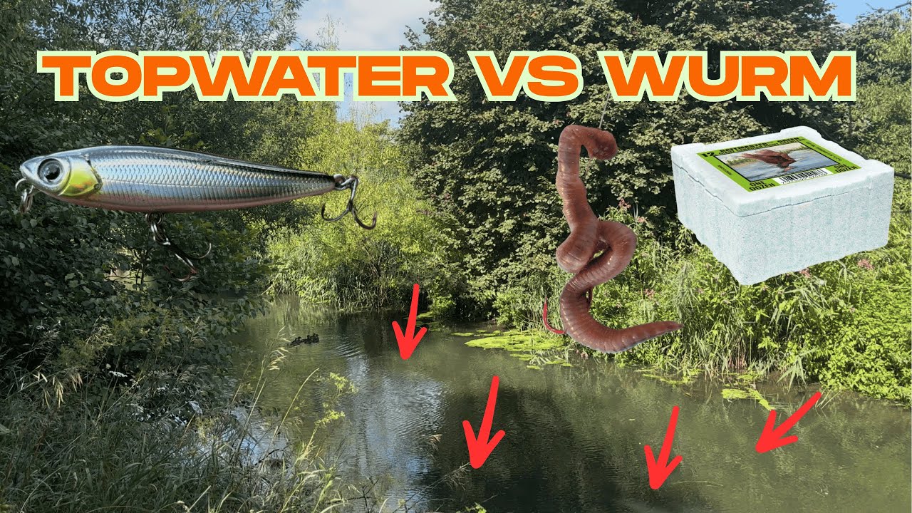 Angeln am Bach, Wurm oder Wobbler, dieser K&ouml;der f&auml;ngt besser!
