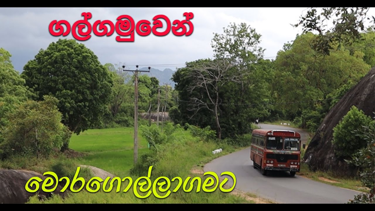 කුඹුරු යායවල් මැදින් ගල්ගමුවේ ඉදන් මොරගොල්ලාගමට | Galgamuwa- Moragollagama