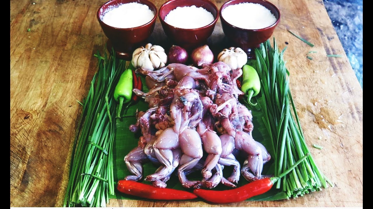 Chinese Indonesian family cooking rain forest whole giant bullfrog with chives for lunch