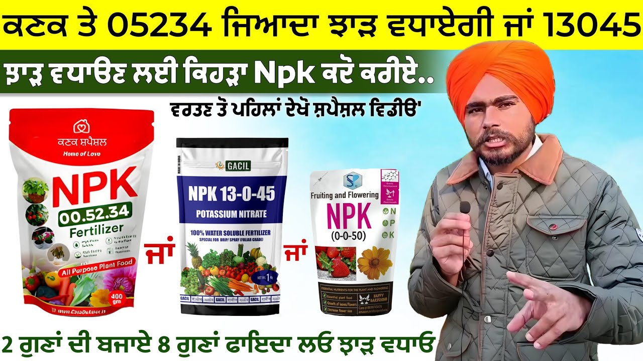 ਕਣਕ ਤੇ 05234 ਸਪਰੇ ਜਿਆਦਾ ਝਾੜ ਵਧਾਏਗੀ ਜਾਂ 13045 | Wheat npk 13045 or 05234 timing and yield effect