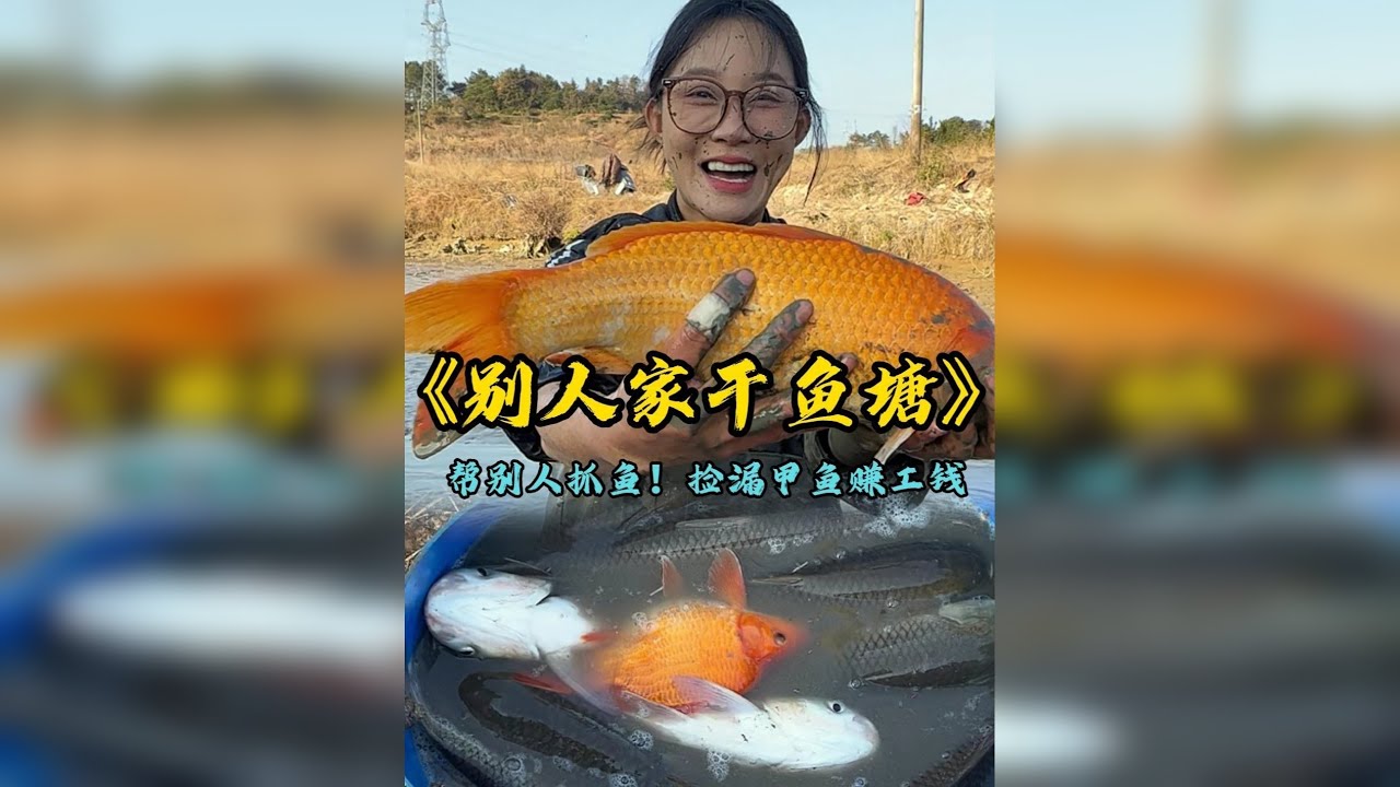 帮大姐免费抓鱼，我们塘里找甲鱼，最后抓到的货值不值的