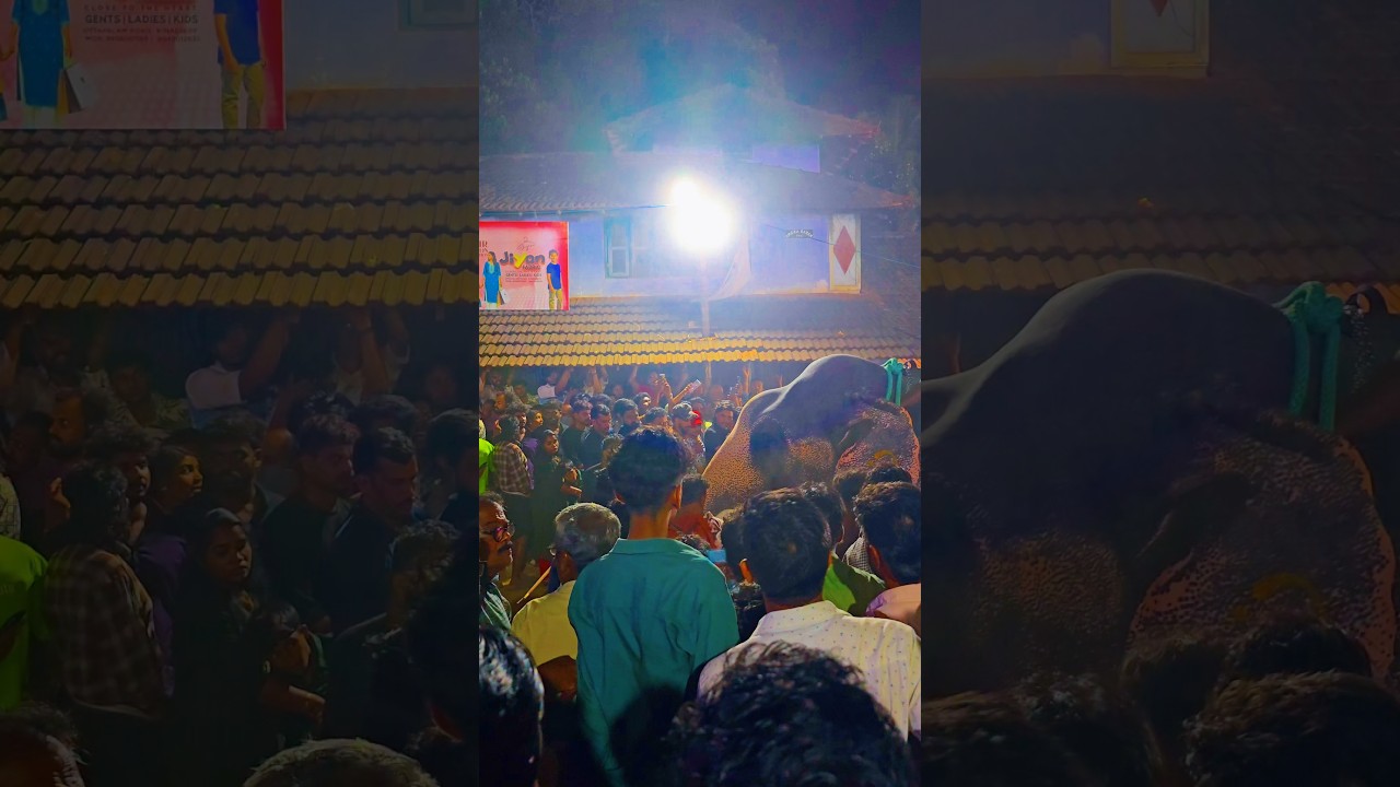 When Elephants Make a Mass Entry 🐘🔥 | Goosebumps Guaranteed #ElephantMarch #CulturalVibes