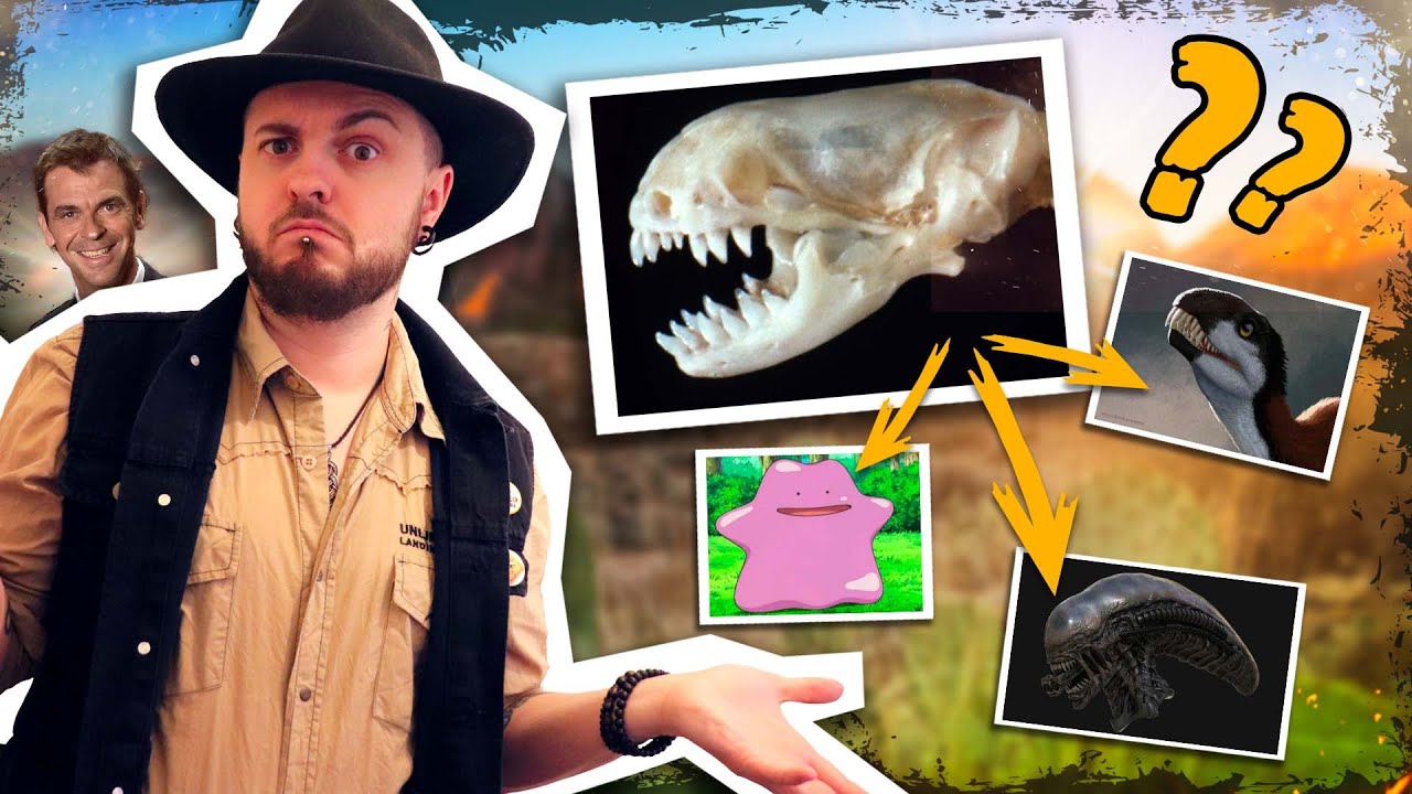 A QUEL ANIMAL APPARTIENT CE CRANE MONSTRUEUX ? - le bipes biporus