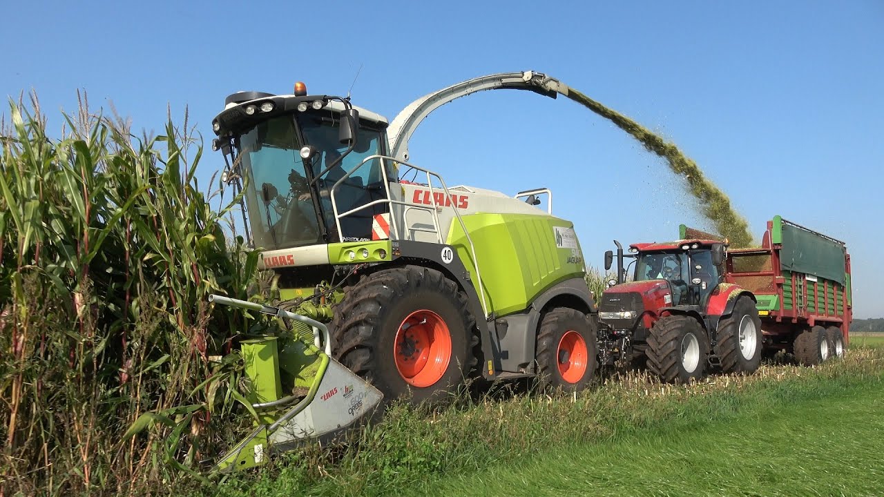 Mais hakselen door Loonbedrijf H van Haarst met Claas Jaguar 940 en 2 Case IH trekkers (2020)
