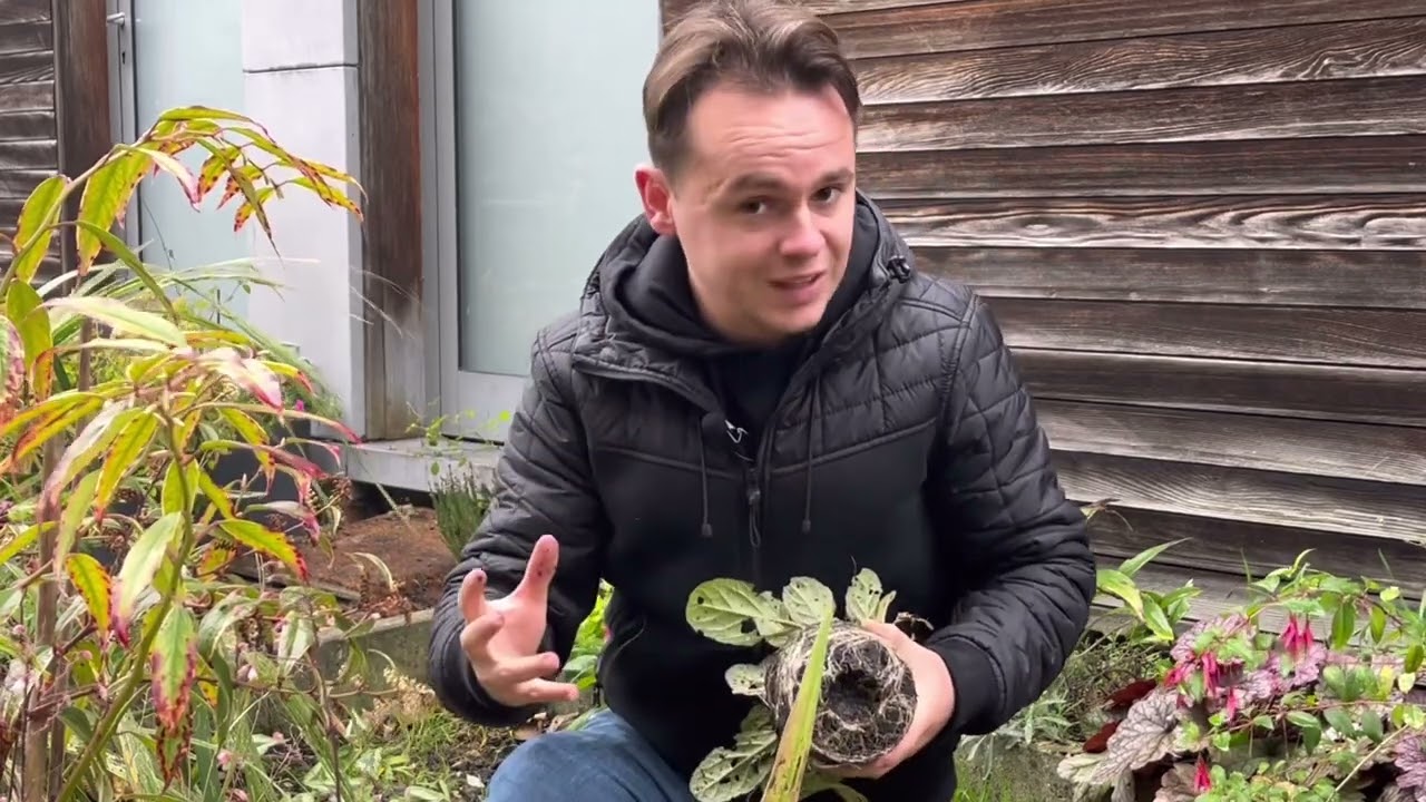 Le bon geste pour la plantation de vivaces et arbustes!