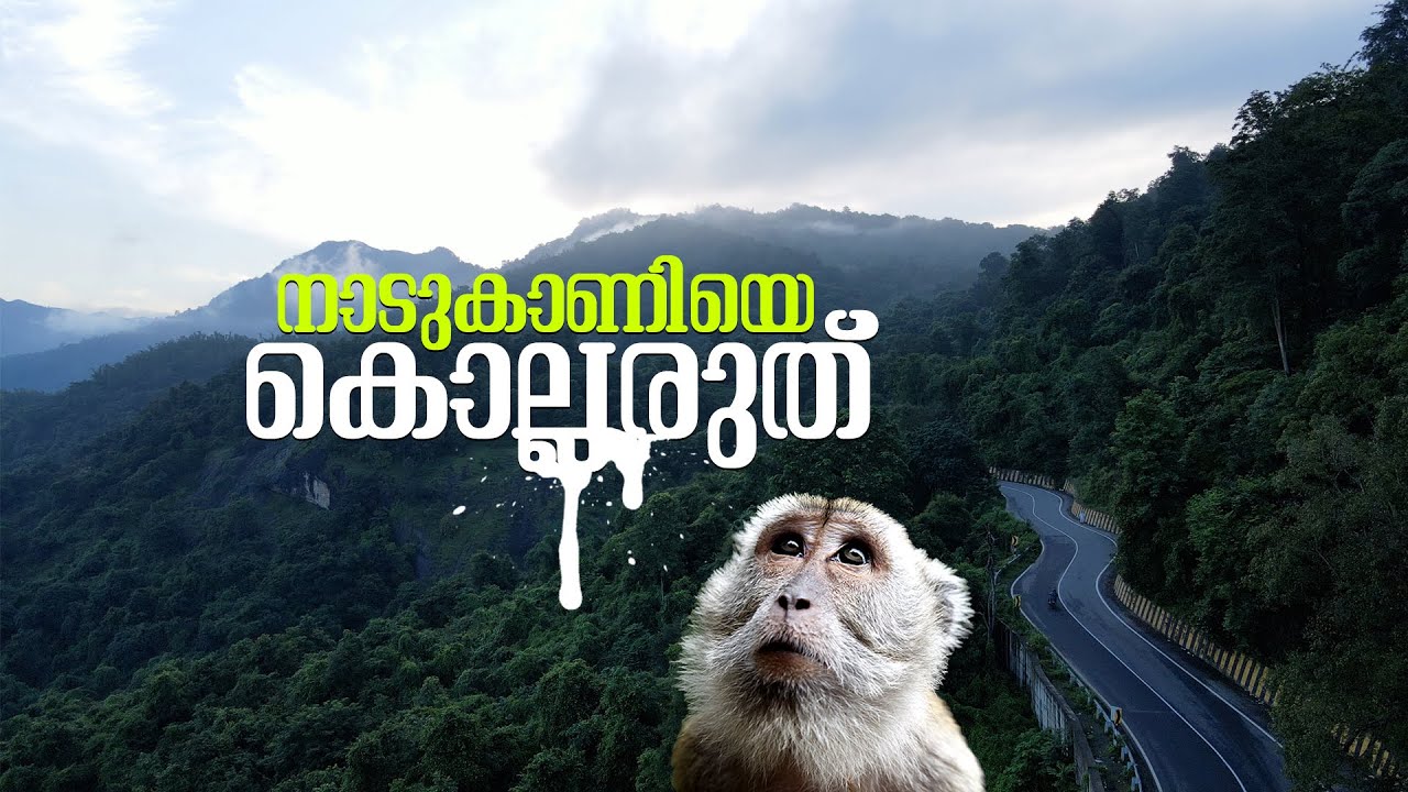 നാടുകാണിയില്‍ നിന്നും അവര്‍ ശേഖരിച്ചത് 1000 കിലോ പ്ലാസ്റ്റിക്, ഡയപ്പർ മാത്രം 800 കിലോ | Nadukani