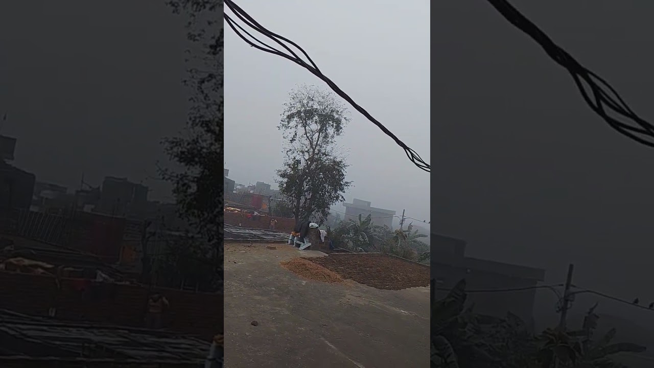 Winter 🥶 season in Bihar