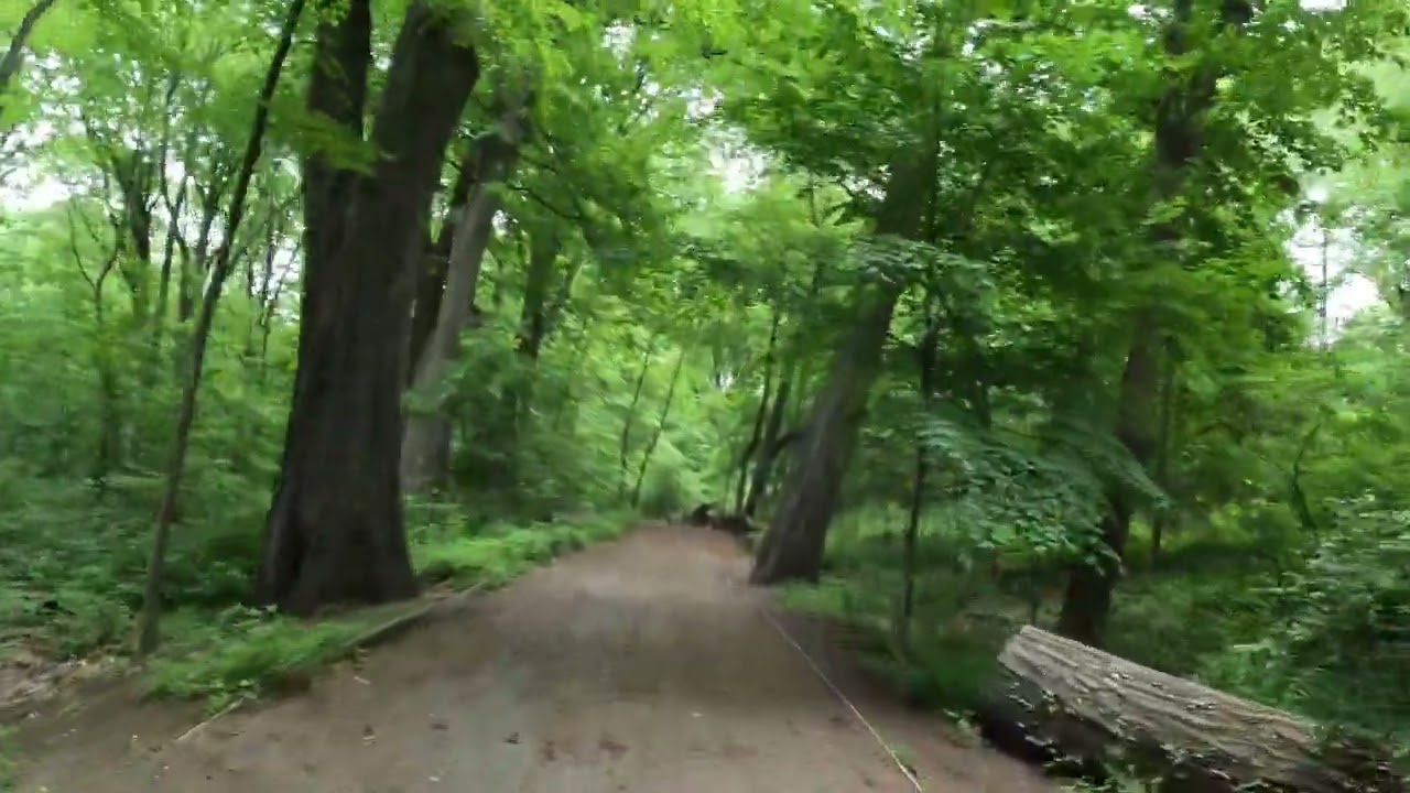 Park Trails - Queens, NY