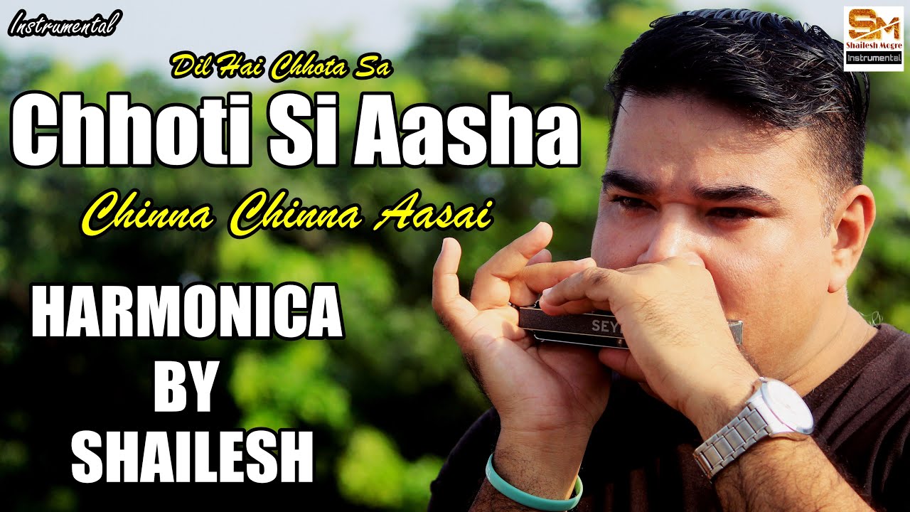 Chhoti Si Aasha Cover |  சின்னச் சின்ன ஆசை | Shailesh Mogre | Harmonica | Instrumental |