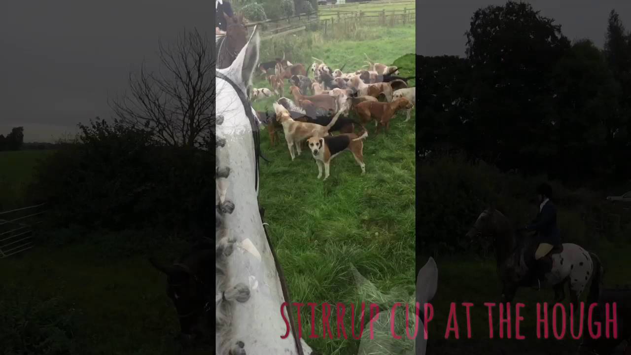 Cheshire Drag and Bloodhounds at The Unicorn Inn - Opening Meet 2016