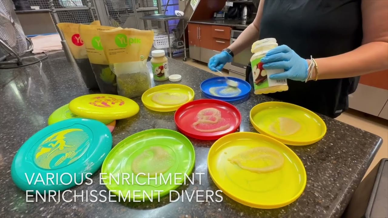 Life at Fauna - Full Video / La vie à la Fondation Fauna - vidéo complet