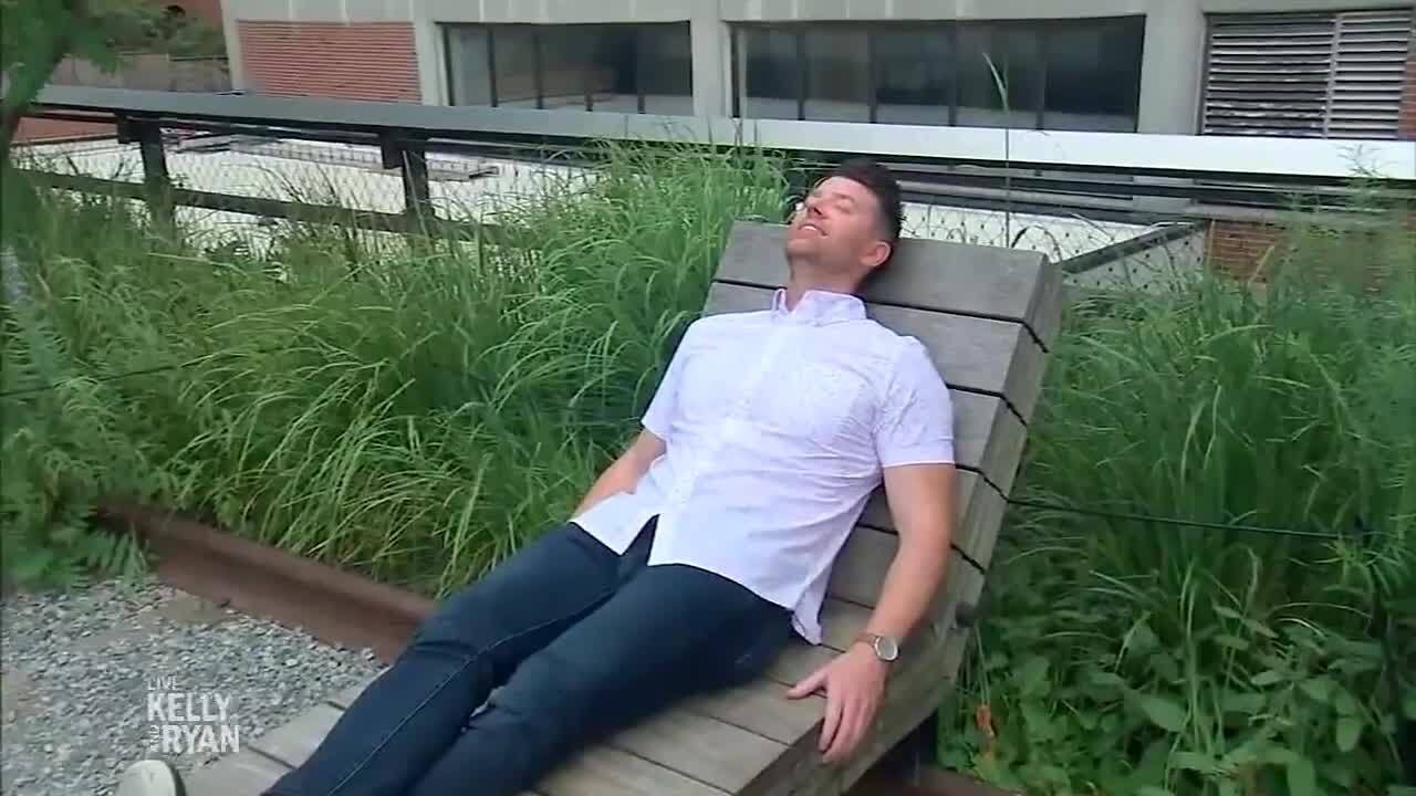 Steve Patterson Visits The High Line in NYC