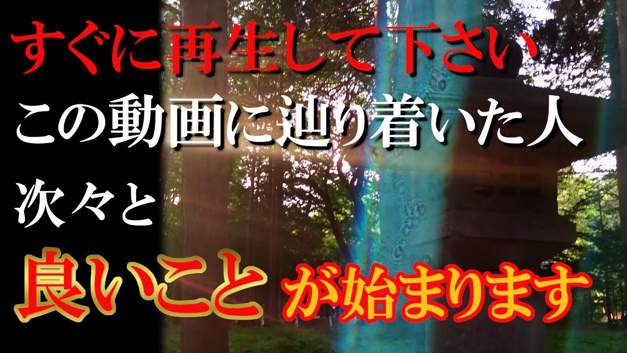 【北海道神宮】※表示されたらすぐに再生して下さい！次々と願いが叶い始めます！北海道最強パワースポット神社｜遠隔参拝#59｜Hokkaidou Grand Shrine Japan