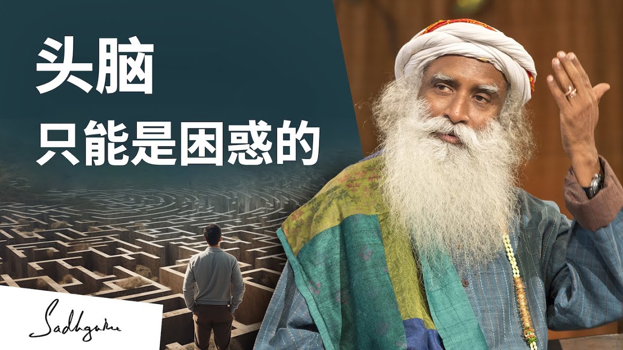 头脑只能是困惑的