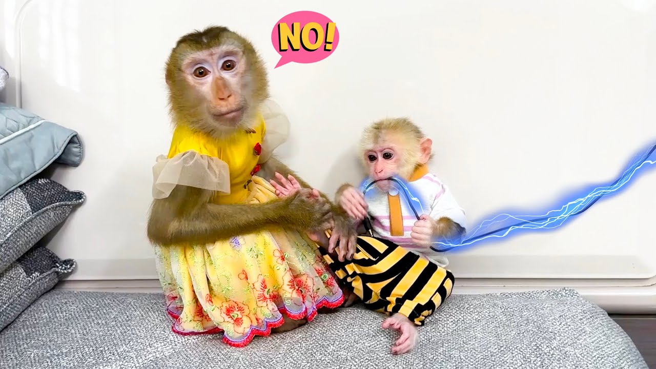 Monkey Kaka to the Rescue: Protect Monkey Mit from the electric wires