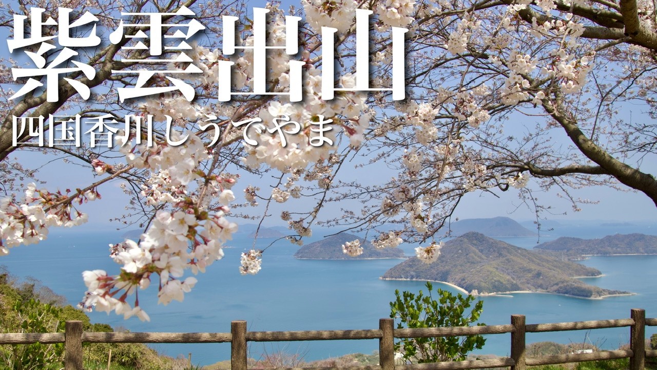 【夫婦登山】お花見ハイク絶景の紫雲出山｜香川県