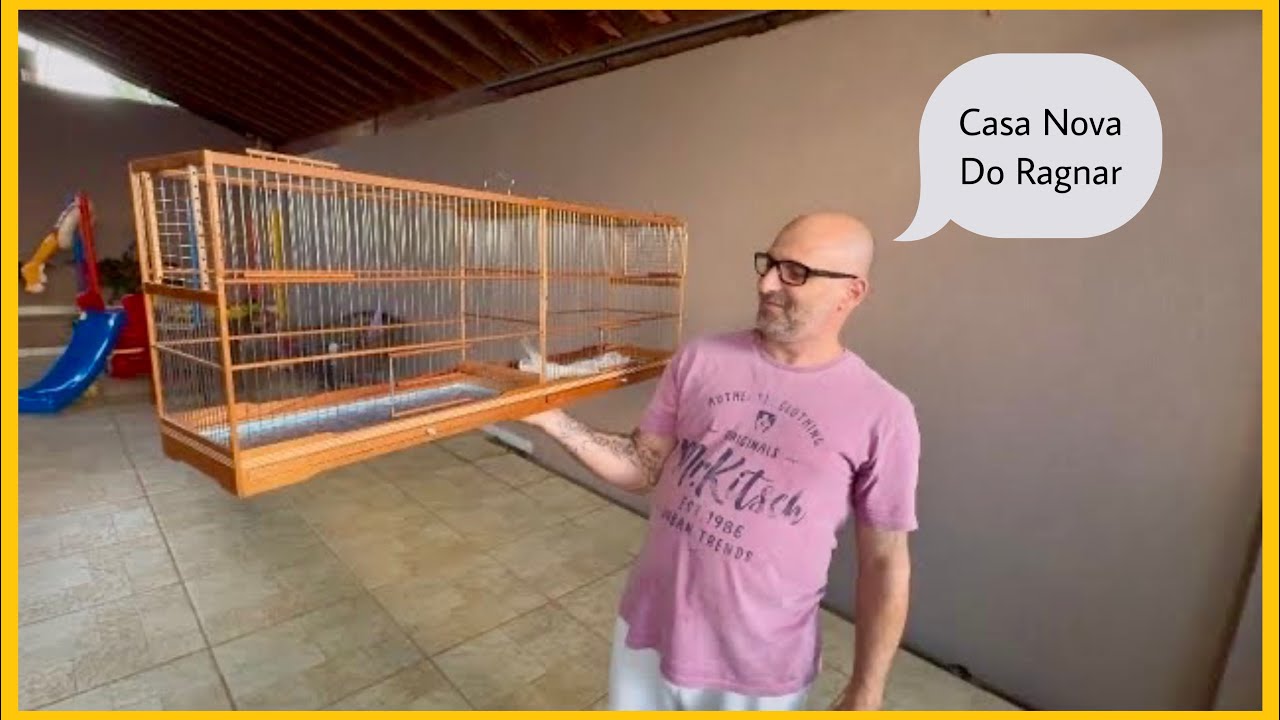 VOADOR PARA COLEIRO PAPA-CAPIM DE TORNEIO RODA