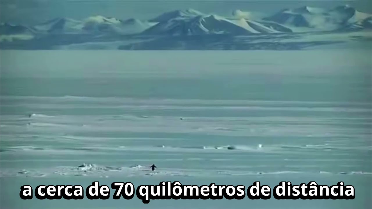 Pinguim montanha