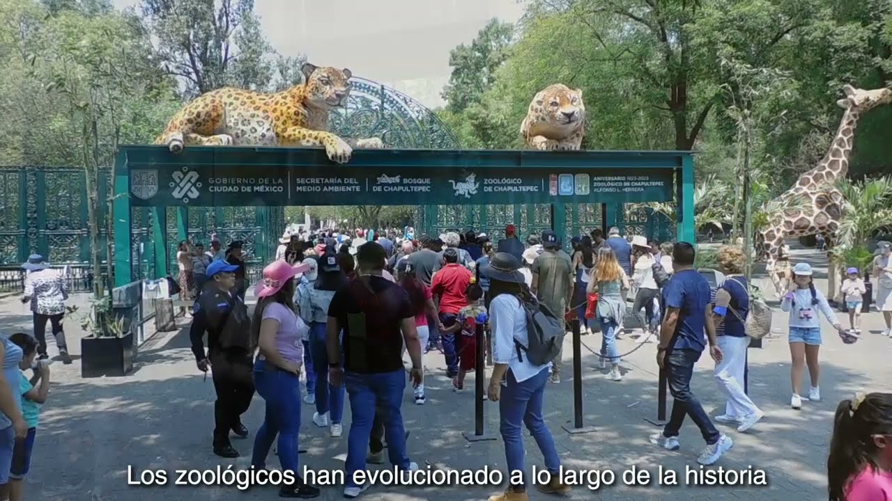 Día de Los Amantes de Los Zoológicos