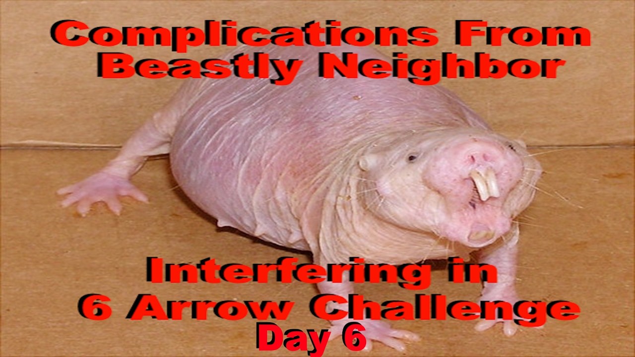 Complications from Beastly Neighbor Interfering in 6 Arrows 10 Groups Challenge Day 5