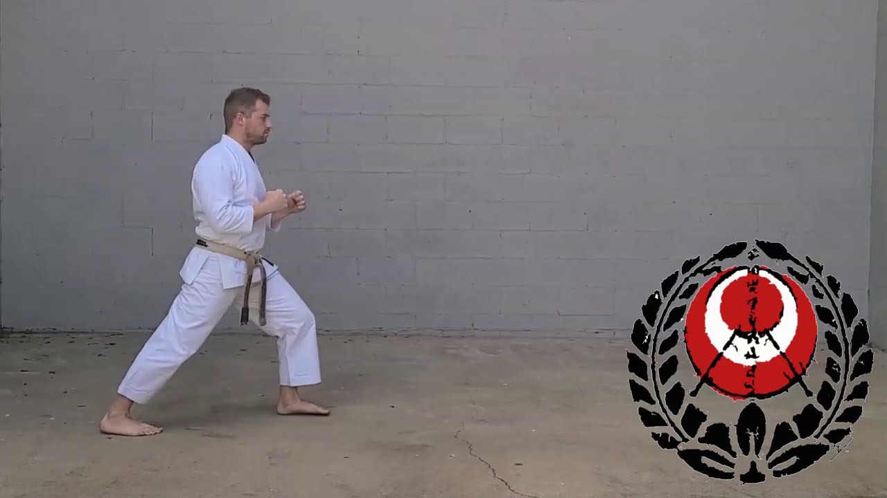 Karate Moves | ZENKUTSU DACHI - Front Stance