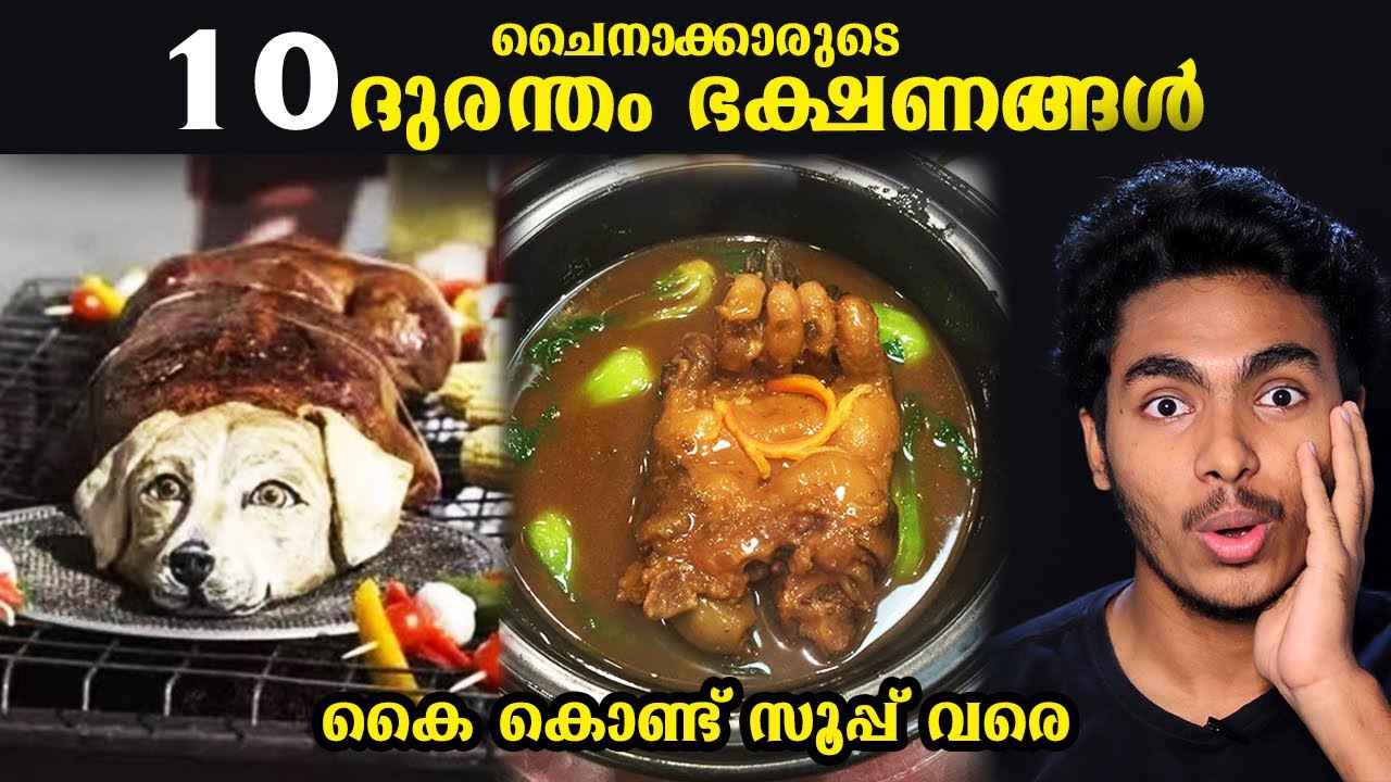 അയ്യേ.. ഇങ്ങനെയും ഭക്ഷണങ്ങളോ ?!! 😬 10 WEIRD CHINESE FOODS l MALAYALAM l AFWORLD