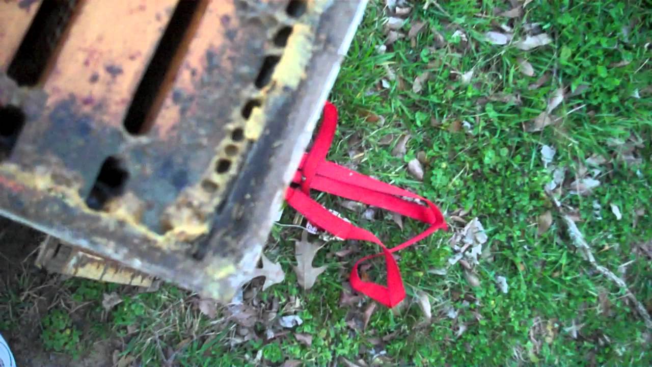 Using Formic Acid to combat Varroa and Tracheal Mites