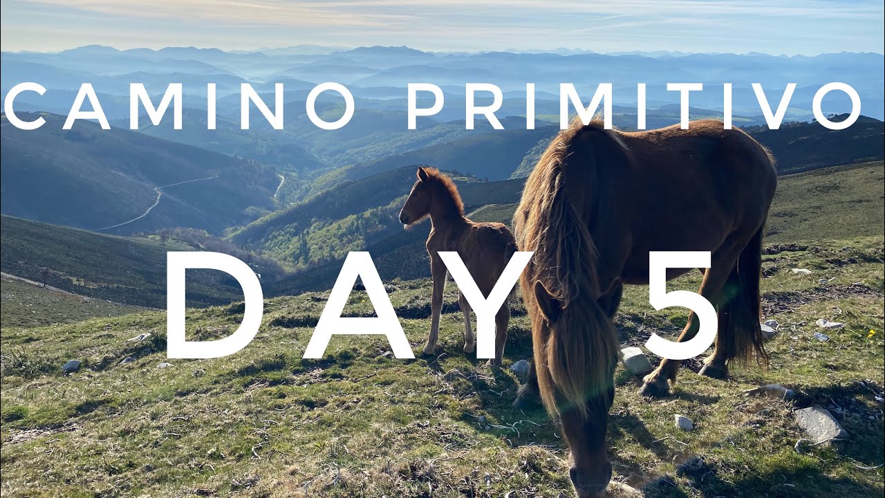 Day 5 Camino Primitivo - Borres to Berducedo