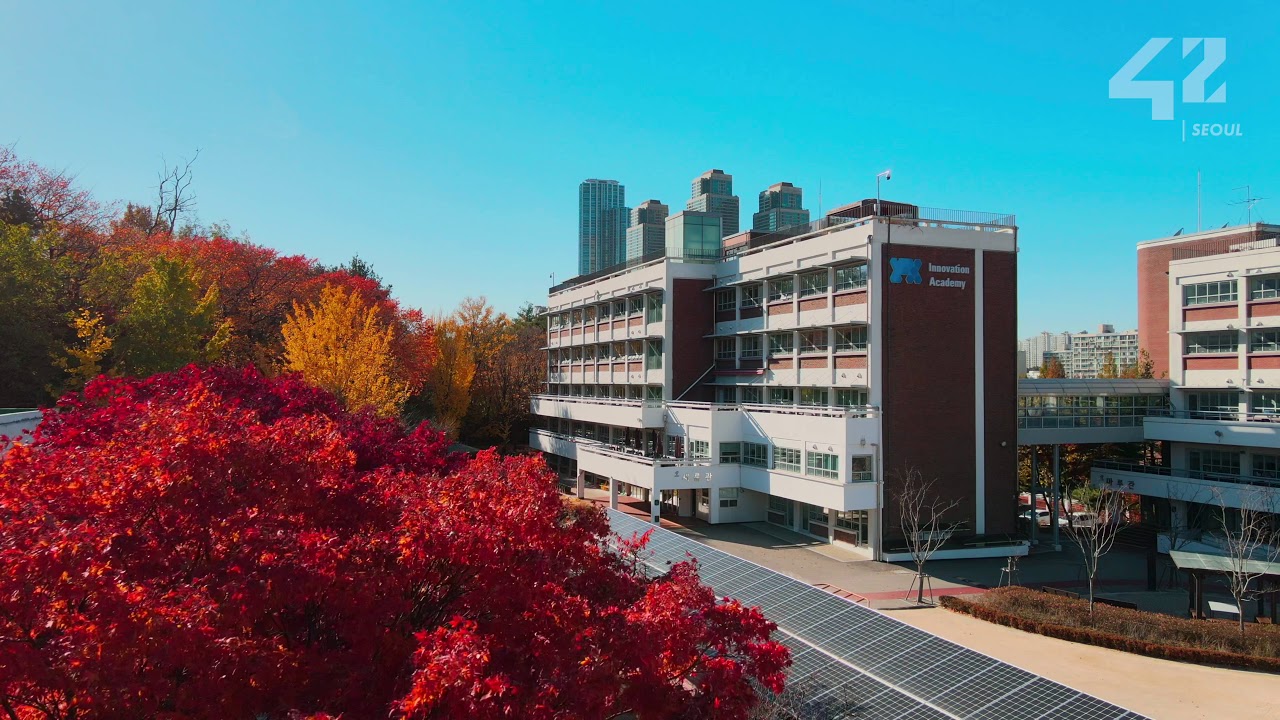 [4K] 하늘에서 바라본 42서울의 가을! 이렇게 예쁜 단풍은 못참지ㅋㅋ - 42 Seoul, where autumn has come