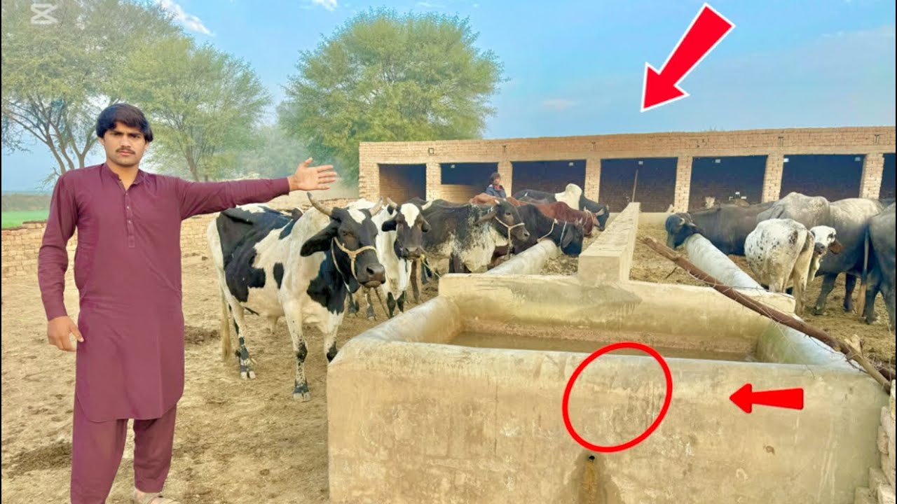 Ramzan Dai farm are you? Who is it?