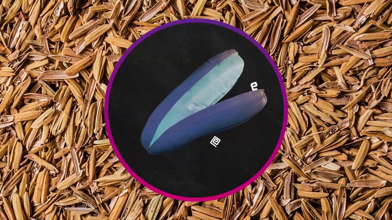 &iexcl;Sienta Zeal! - Mexico.mp4