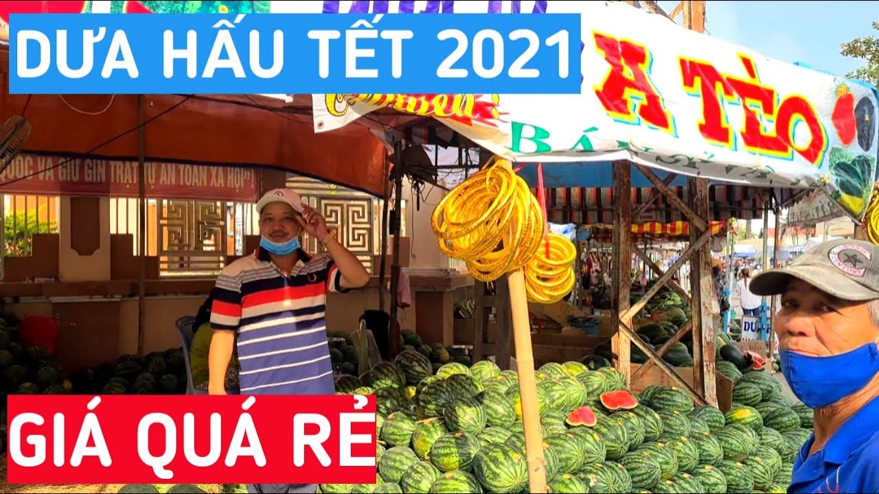 Giá Dưa Hấu Tết tại Thành Phố Vĩnh Long năm nay sao mà rẻ quá trời | KPVL