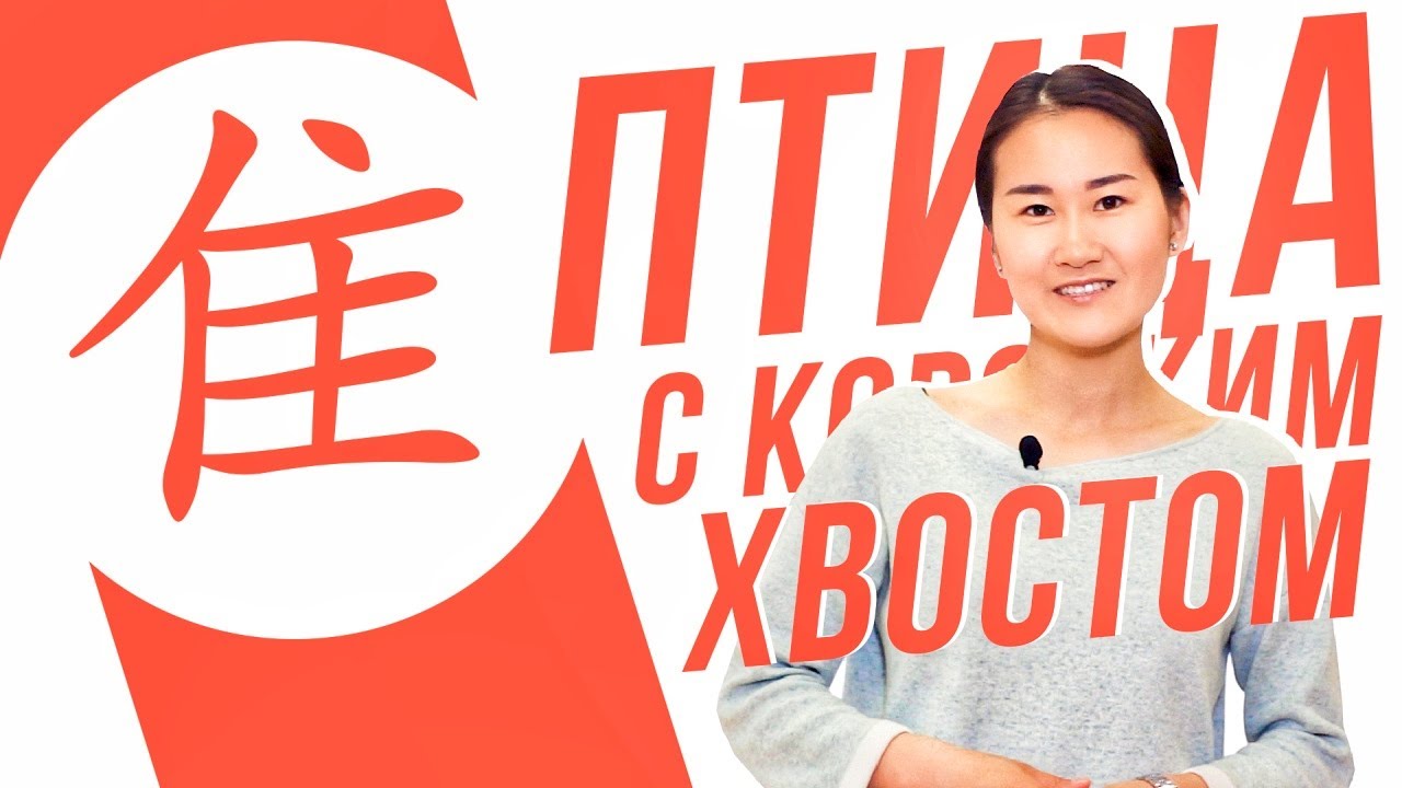 Ключевые иероглифы #74 隹 (птица с коротким хвостом) 🐥 УЧУ КИТАЙСКИЙ ЯЗЫК ✌ Школа Динары Мин ✌