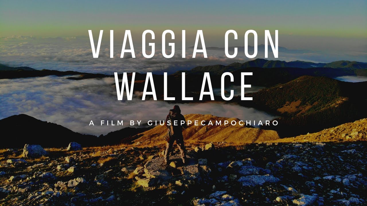 VIAGGI TRA BORGHI E CASTELLI D'EUROPA