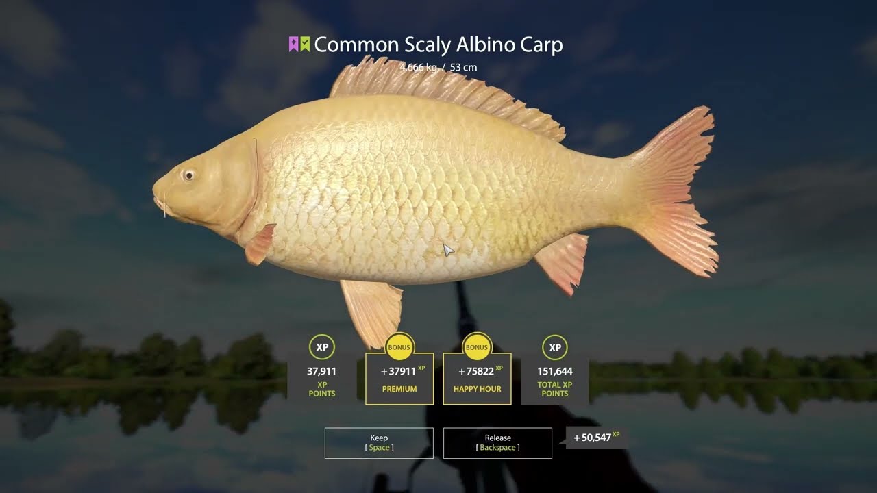 Amber Lake ACTIVE TROPHY SPOT! #rf4 #russianfishing4 #russianfishing4spots #amberlake #fishing