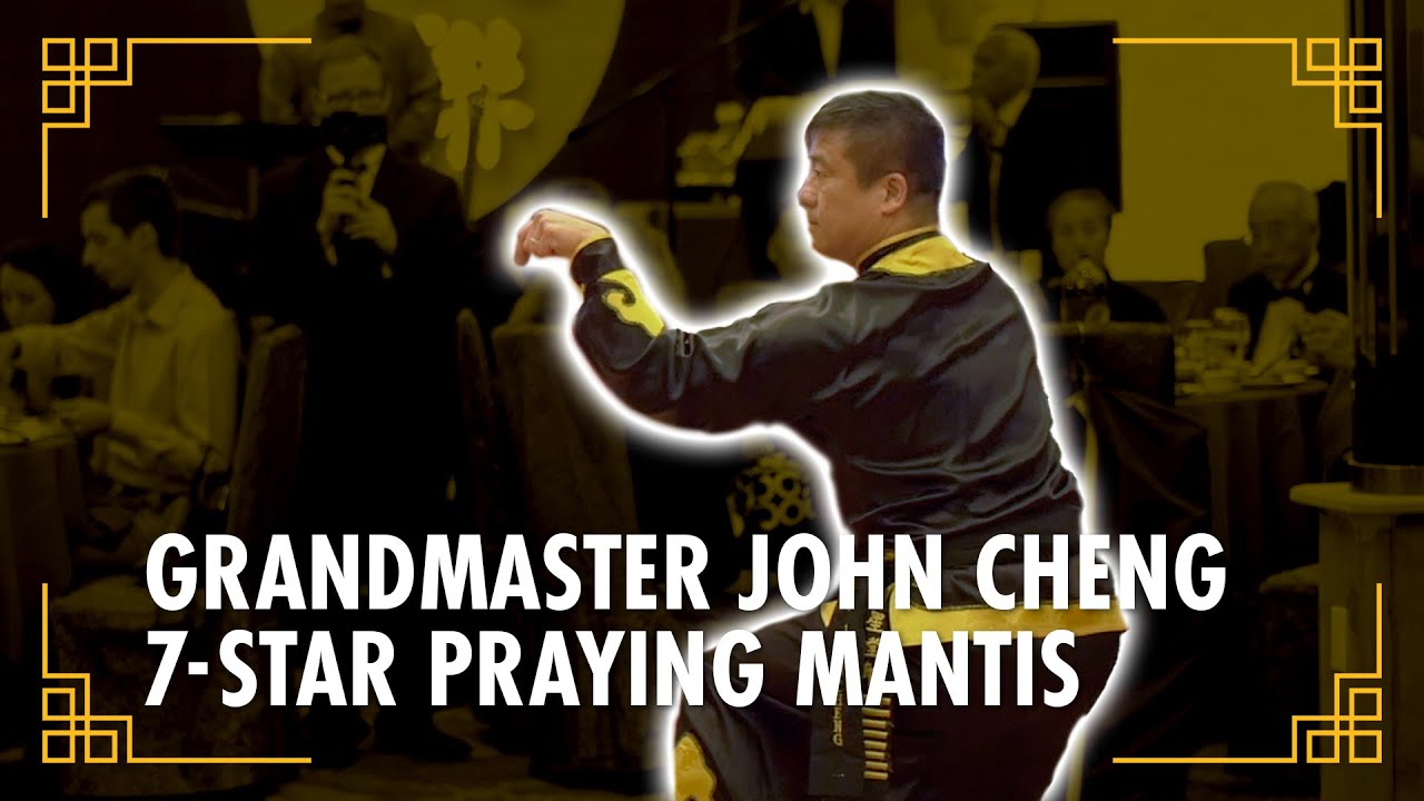 Grandmaster John Cheng // 7 Star Praying Mantis Style [七星螳螂拳]